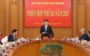 Chủ tịch nước chủ trì Phiên họp Ban Chỉ đạo cải cách Tư pháp Trung ương