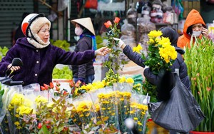 Dự báo thời tiết ngày 26/12: Bắc Bộ trời rét, Trung và Nam Trung Bộ có mưa to