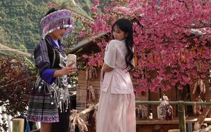 Phó Thủ tướng Chính phủ đồng ý với đề xuất nghỉ 4 ngày Tết Dương lịch 2026