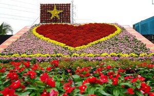 "Trái tim" khổng lồ làm từ 1.600 chậu hoa tươi ở Làng hoa Sa Đéc