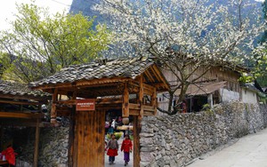 Du lịch Việt Nam 2025: Điểm sáng trong bức tranh tăng trưởng kinh tế, xã hội