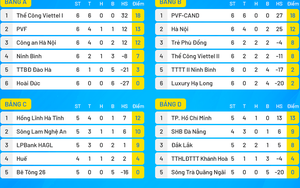 Xâm phạm thân thể trọng tài, HLV U19 Hà Tĩnh bị đình chỉ nhiệm vụ 6 trận và chịu phạt 7,5 triệu đồng