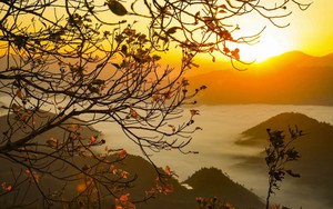 Bình minh giữa biển mây trên đèo Keo Lôm, Điện Biên