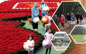 Du lịch Tết Dương lịch 2026: Những tọa độ "vàng" quanh Hà Nội và TP. HCM không thể bỏ lỡ