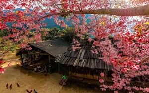 Nghệ An - điểm đến hút khách dịp Tết Dương lịch 2026