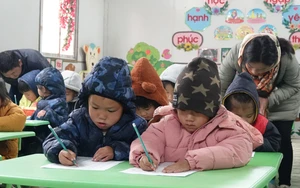 Bắc Bộ chủ động ứng phó với rét đậm, rét hại