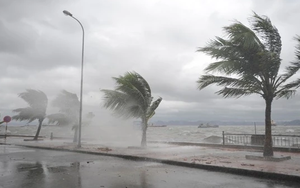 Thời tiết đêm 5 ngày 6/12: Vùng biển từ Nam Quảng Trị đến Quảng Ngãi có mưa rải rác 