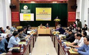 Đà Nẵng hướng tới trung tâm công nghiệp văn hóa