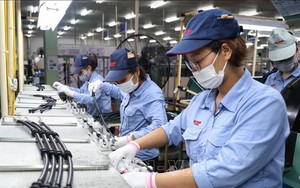 11 tháng, tổng vốn FDI thực hiện đạt mức cao nhất trong 5 năm gần đây