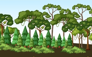 Hơn 1,4 tỷ cây đã được trồng trong giai đoạn 2021-2025