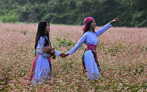 Vùng đất cao nguyên bước vào kỷ nguyên du lịch thông minh