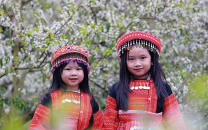 Việt Nam tiếp tục được tôn vinh là "Điểm đến Di sản hàng đầu thế giới"