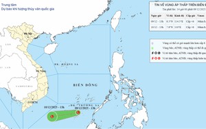 Xuất hiện vùng áp thấp trên khu vực phía Nam Biển Đông