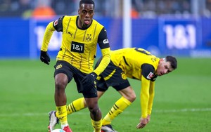 Nhận định, soi tỷ lệ Sporting Lisbon vs Dortmund 3h00 ngày 12/2, vòng play-off Champions League