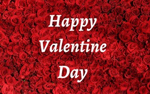 Lời chúc ngày Valentine 14/2 ngọt ngào và ý nghĩa nhất 2025