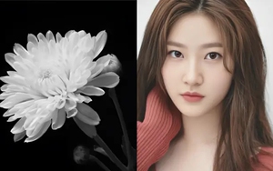 Cuộc đời bi kịch của Kim Sae Ron: Gia đình tan vỡ, bạo lực học đường và cái kết đau lòng