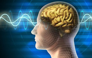 Mối đe dọa thầm lặng với não bộ con người