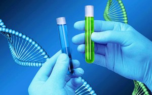 Nghiên cứu mới hứa hẹn mang lại cuộc cách mạng trong điều trị bệnh tim