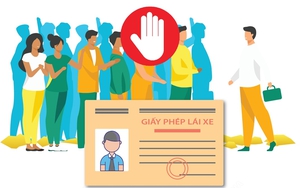 Người dân không nên đổ xô đi đổi giấy phép lái xe