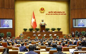 Luật Tổ chức Chính phủ (sửa đổi) - nhiều tư duy đột phá mang tính lịch sử