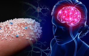 Báo động rác nhựa xâm nhập não người