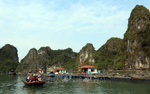 Quảng Ninh: Chưa cấp phép dịch vụ ăn uống trong hang động