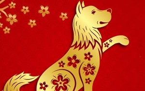 Dự đoán ngày 13/3/2025 của 12 con giáp: Tuất cần duy trì sự cởi mở