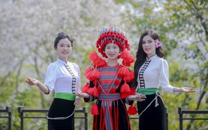 Dàn thí sinh dự thi Người đẹp Hoa Ban năm 2025