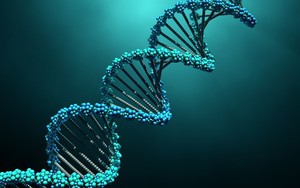 Phát hiện mới mở ra hy vọng ngăn ngừa ung thư