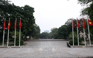 Hà Nội cải tạo vườn hoa Lý Thái Tổ, không chặt hạ cây cổ thụ