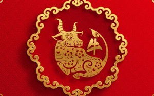 Dự đoán ngày 26/3/2025 của 12 con giáp: Sửu vận trình tài lộc khá thuận lợi