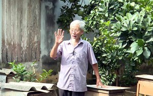 Lão nông 80 tuổi sáng tạo nội dung số nhờ kinh nghiệm chăn nuôi