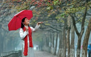 Thời tiết ngày 28/3: Phía Đông Bắc Bộ và Thủ đô Hà Nội sáng có mưa và sương mù