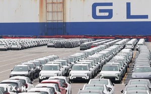 Kinh tế toàn cầu đối mặt bất ổn trước chính sách thuế quan mới của Mỹ