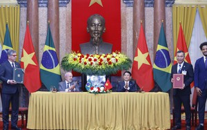 Chủ tịch nước chứng kiến lễ trao biên bản ghi nhớ giữa LĐBĐ Việt Nam và LĐBĐ Brazil