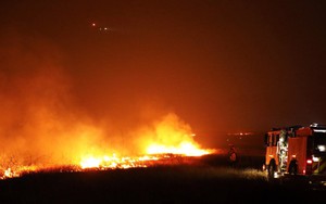 Cháy rừng hoành hành tại miền Đông Nam nước Mỹ