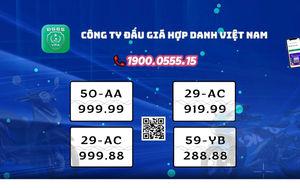 THÔNG BÁO TỔ CHỨC ĐẤU GIÁ BIỂN SỐ XE MÔ TÔ - XE GẮN MÁY