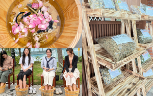 Ngâm chân, tắm lá thuốc ở Ba Vì: Hành trình tìm về liệu pháp thảo dược người Dao, người Mường