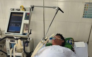 Cà Mau: 4 người nhập viện cấp cứu vì ăn cá nóc