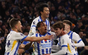 Nhận định, soi tỷ lệ Brighton vs Leicester City 21h hôm nay ngày 12/4, vòng 32 Premier League 2024/25