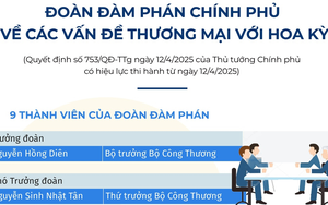 Thông tin chi tiết về Đoàn đàm phán Chính phủ về các vấn đề thương mại với Hoa Kỳ