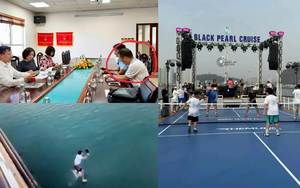 Quảng Ninh: Xử phạt chủ tàu cho du khách đánh Pickleball trên boong