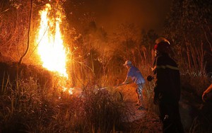 Vĩnh Phúc: Hàng trăm người chiến đấu với giặc lửa quyết giữ rừng sản xuất