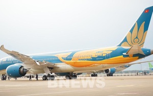 Vietnam Airlines ra mắt phiên bản máy bay đặc biệt hình chim Lạc