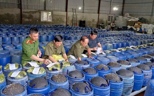 Triệt xóa đường dây sản xuất 3.500 tấn giá đỗ ngâm "nước kẹo"