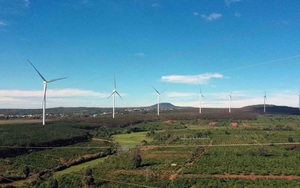 Công suất điện gió và điện Mặt Trời toàn cầu sẽ tăng trong năm 2025