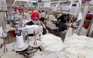 Dệt may thích ứng với chính sách thuế quan - Bài cuối: Tái cấu trúc, củng cố thương hiệu