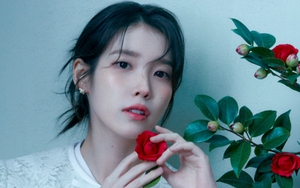 IU và "Khi cuộc đời cho bạn quả quýt": "Vai diễn này xuất hiện như định mệnh"
