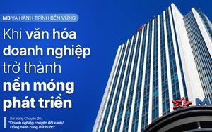 MB và hành trình bền vững: Khi văn hóa doanh nghiệp trở thành nền móng phát triển