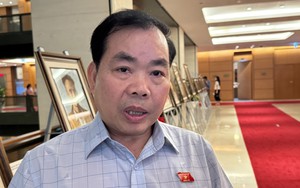 Đề xuất áp dụng biện pháp mạnh nếu người nổi tiếng cố tình quảng cáo sai sự thật